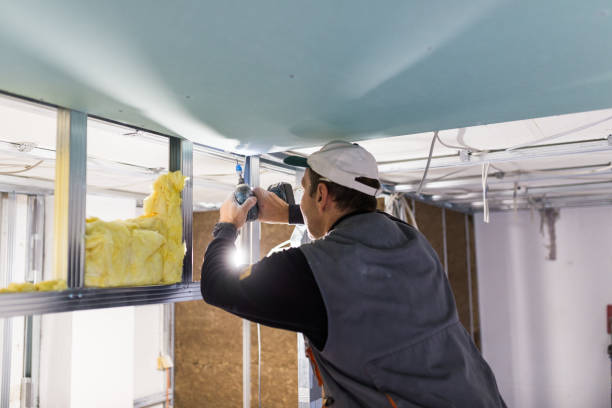 Best Insulation Installation Services in Sa De Oro Mount Helix, CA